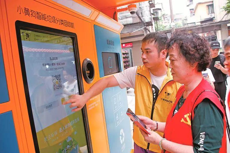 作壁上观打一正确生肖，全面释义、定量解答解释落实